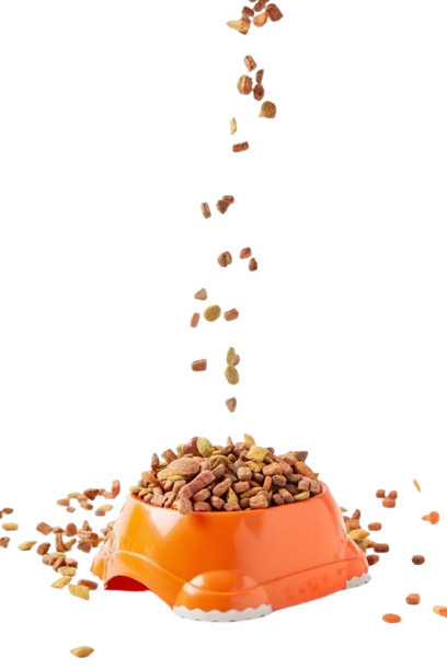 Ração premium para pets